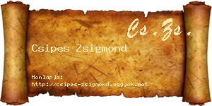 Csipes Zsigmond névjegykártya